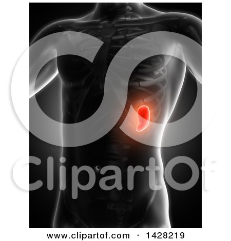Clipart of a 3d Anatomical Xray Man with Glowing Red Spleen, on Black - Royalty Free Illustration by KJ Pargeter