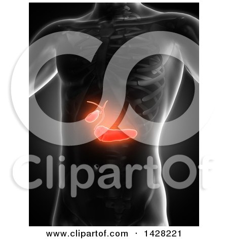 Clipart of a 3d Anatomical Xray Man with Glowing Red Biliary, on Black - Royalty Free Illustration by KJ Pargeter