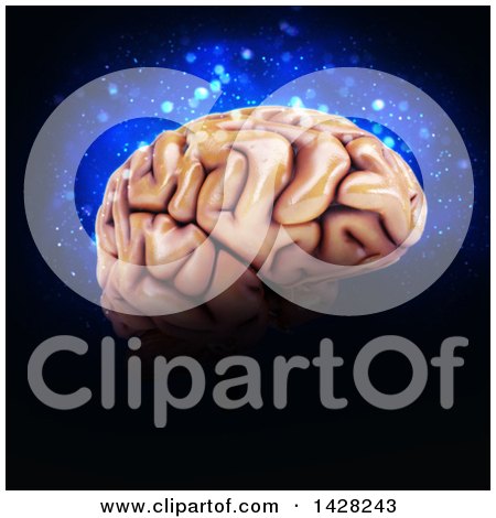 Clipart of a 3d Human Brain over Blue Lights on Black - Royalty Free Illustration by KJ Pargeter