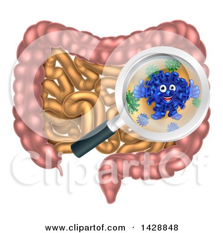 Clipart of a Happy Blue Gut Flora Character Giving Two Thumbs up Under a Magnifyig Glass over the Human Digestive Tract - Royalty Free Vector Illustration by AtStockIllustration