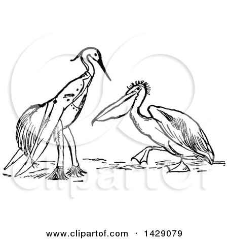 Clipart of a Vintage Black and White Perched Stork Dressed in Clothes and Pelican - Royalty Free Vector Illustration by Prawny Vintage
