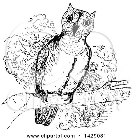 Clipart of a Vintage Black and White Sketched Perched Owl - Royalty Free Vector Illustration by Prawny Vintage