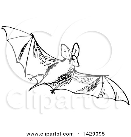 Clipart of a Vintage Black and White Flying Bat - Royalty Free Vector Illustration by Prawny Vintage