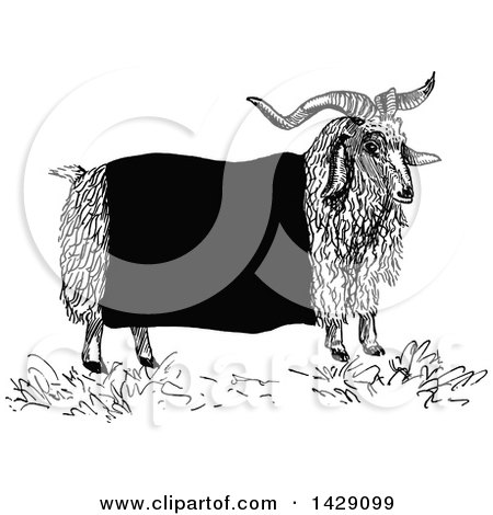 Clipart of a Vintage Black and White Sketched Ram - Royalty Free Vector Illustration by Prawny Vintage