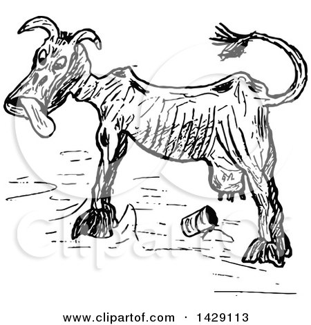 Clipart of a Vintage Black and White Sketched Skinny Cow - Royalty Free Vector Illustration by Prawny Vintage