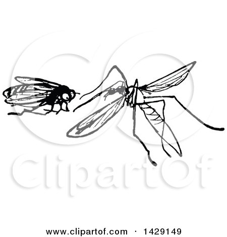 Clipart of a Vintage Black and White Fly and Mosquito - Royalty Free Vector Illustration by Prawny Vintage