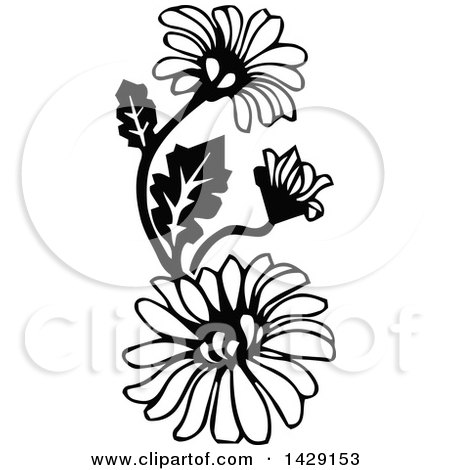 Clipart of Vintage Black and White Daisies - Royalty Free Vector Illustration by Prawny Vintage