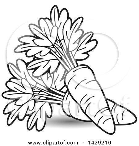 Clipart of Black and White Carrots - Royalty Free Vector Illustration by Lal Perera