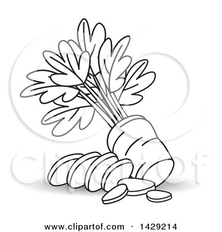 Clipart of a Black and White Sliced Carrot - Royalty Free Vector Illustration by Lal Perera