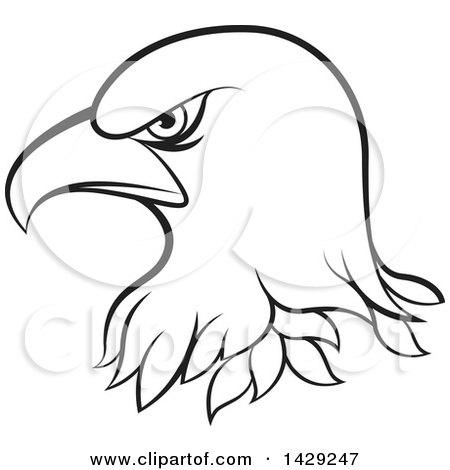 Clipart of a Black and White Bald Eagle Head - Royalty Free Vector Illustration by Lal Perera