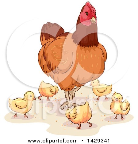 Clipart of a Hen and Chicks - Royalty Free Vector Illustration by BNP Design Studio