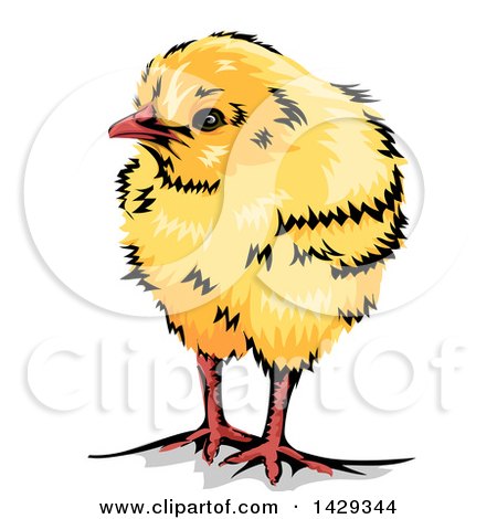 Clipart of a Cute Yellow Chick - Royalty Free Vector Illustration by BNP Design Studio