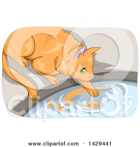 Clipart of a Ginger Cat Tapping Water with Its Paw - Royalty Free Vector Illustration by BNP Design Studio