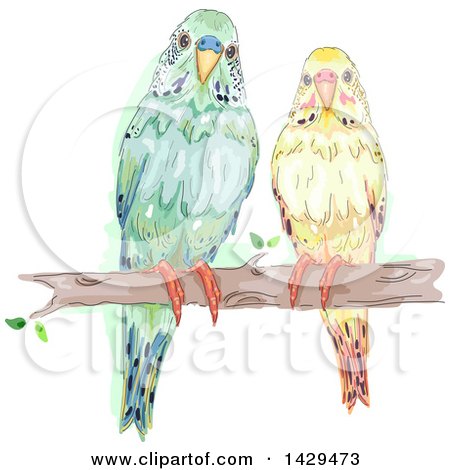 Clipart of a Pair of Parakeets on a Tree Branch - Royalty Free Vector Illustration by BNP Design Studio