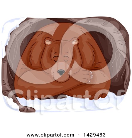 Clipart of a Grizzly Bear Hibernating in a Cave - Royalty Free Vector Illustration by BNP Design Studio