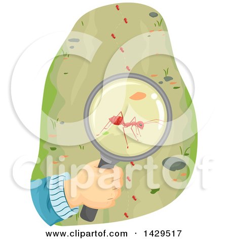 Clipart of a Hand Observing an Ant Through a Magnifying Glass - Royalty Free Vector Illustration by BNP Design Studio