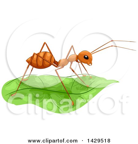 Clipart of a Fire Ant on a Lush Green Leaf - Royalty Free Vector Illustration by BNP Design Studio
