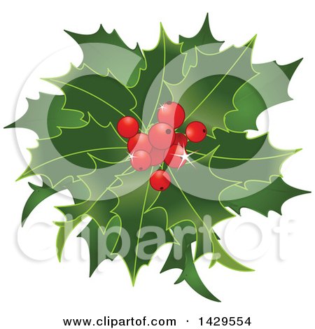 Clipart of a Bunch of Christmas Holly with Red Berries - Royalty Free Vector Illustration by Pushkin