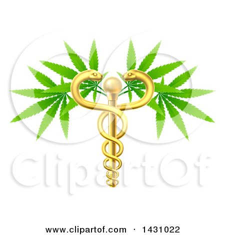 Clipart of a Medical Marijuana Design with a Cannabis Plant Growing on a Gold Snake Caduceus - Royalty Free Vector Illustration by AtStockIllustration