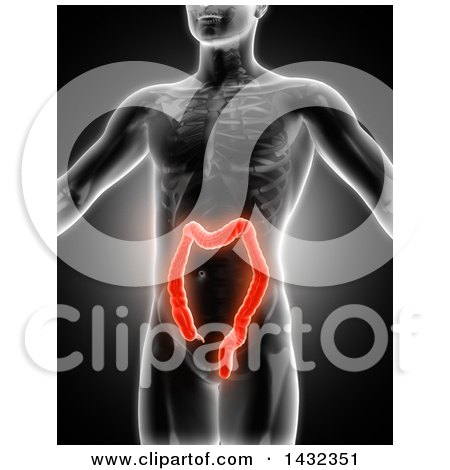 Clipart of a 3d Anatomical Man with Glowing Visible Colon, on Gray - Royalty Free Illustration by KJ Pargeter