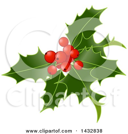Clipart of Christmas Holly and Berries - Royalty Free Vector Illustration by Pushkin