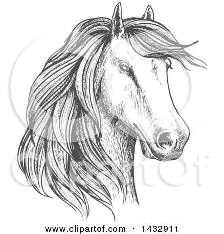 Clipart of a Sketched Gray Horse Head - Royalty Free Vector Illustration by Vector Tradition SM