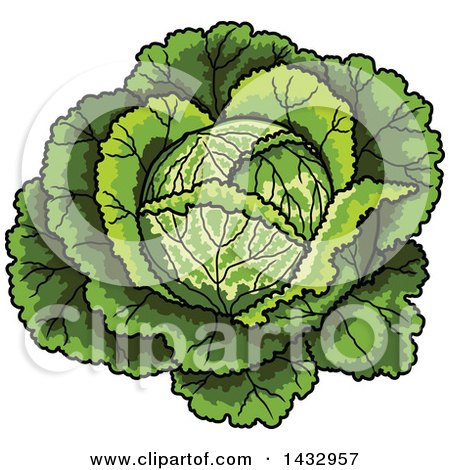 Clipart of a Cartoon Head of Cabbage - Royalty Free Vector Illustration by Vector Tradition SM