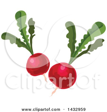 Clipart of Radishes - Royalty Free Vector Illustration by Vector Tradition SM