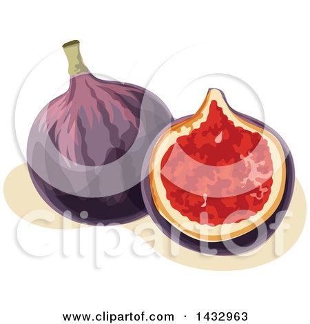 Clipart of Figs - Royalty Free Vector Illustration by Vector Tradition SM
