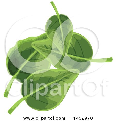 Clipart of Sorrel Greens - Royalty Free Vector Illustration by Vector Tradition SM