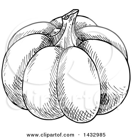 Clipart of a Black and White Sketched Pumpkin - Royalty Free Vector Illustration by Vector Tradition SM