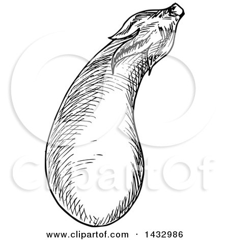 Clipart of a Black and White Sketched Eggplant - Royalty Free Vector Illustration by Vector Tradition SM
