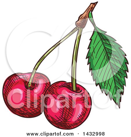 Clipart of Sketched Cherries - Royalty Free Vector Illustration by Vector Tradition SM