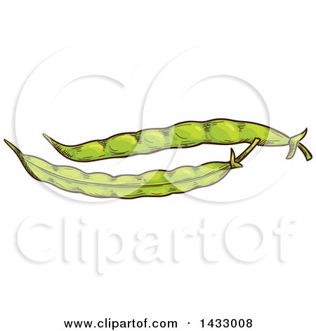 Clipart of Sketched Bean Pods - Royalty Free Vector Illustration by Vector Tradition SM