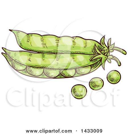 Clipart of Sketched Pods with Peas - Royalty Free Vector Illustration by Vector Tradition SM