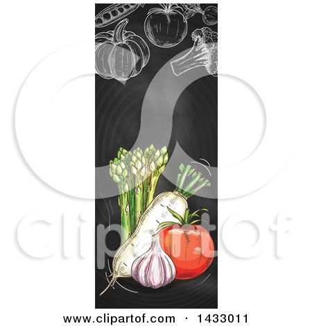 Clipart Of A Vertical Website Banner of Sketched Produce on a Blackboard - Royalty Free Vector Illustration by Vector Tradition SM