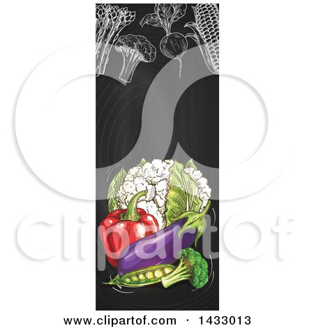 Clipart Of A Vertical Website Banner of Sketched Produce on a Blackboard - Royalty Free Vector Illustration by Vector Tradition SM
