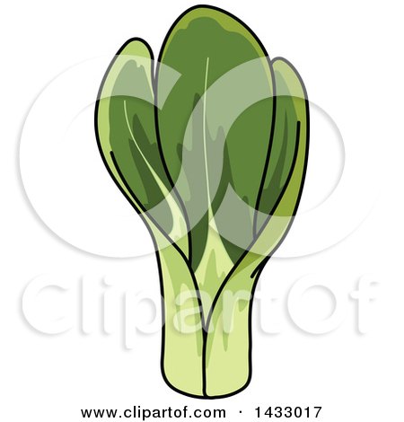 Clipart Of Chinese Cabbage - Royalty Free Vector Illustration by Vector Tradition SM