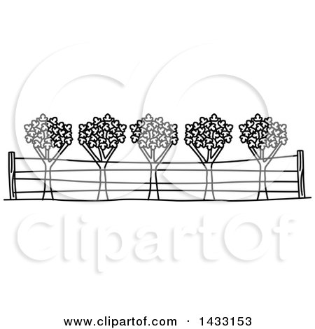 Clipart of a Black and White Line Drawing Styled American Landmark, Napa Valley Viticultural Area - Royalty Free Vector Illustration by Vector Tradition SM