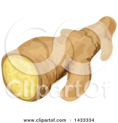 Clipart of a Piece of Ginger Root - Royalty Free Vector Illustration by Vector Tradition SM