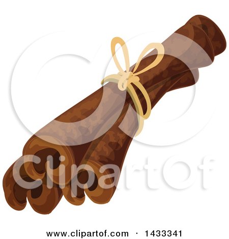 Clipart of a String and Cinnamon Sticks - Royalty Free Vector Illustration by Vector Tradition SM