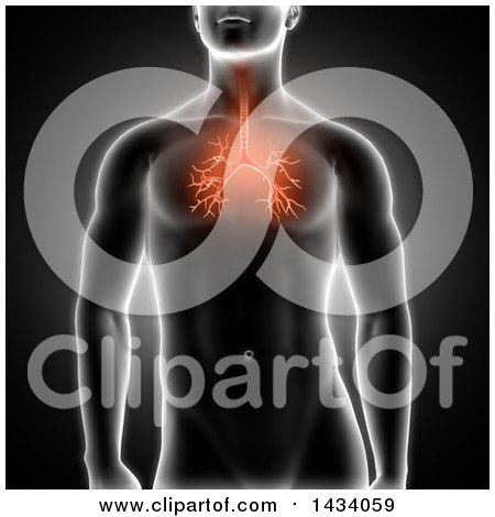 Clipart of a 3d Xray Man with Highlighted Red Bronchus, on Black - Royalty Free Illustration by KJ Pargeter