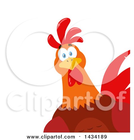 Flat Design Style Clipart of a Chicken Rooster Bird Peeking Around a Corner - Royalty Free Vector Illustration by Hit Toon