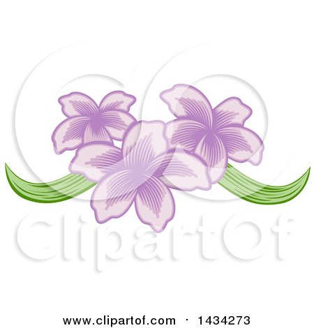 Clipart of a Pretty Purple Orchid Flower Design - Royalty Free Vector Illustration by AtStockIllustration