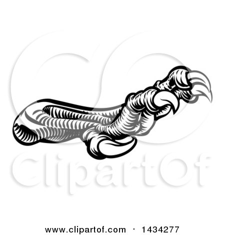 Clipart of Black and White Woodcut Dragon Claws - Royalty Free Vector Illustration by AtStockIllustration