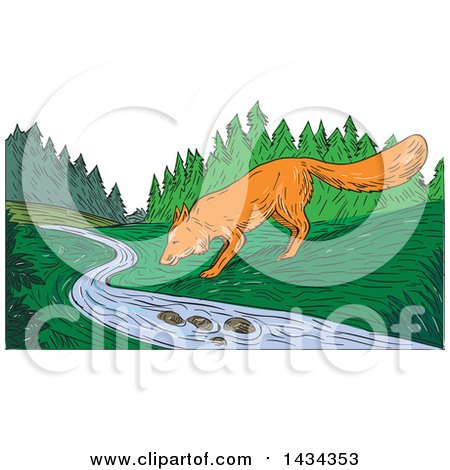 Clipart of a Sketched Fox Drinking from a Creek - Royalty Free Vector Illustration by patrimonio