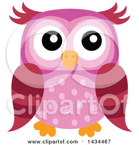 Clipart of a Pink Owl - Royalty Free Vector Illustration by visekart