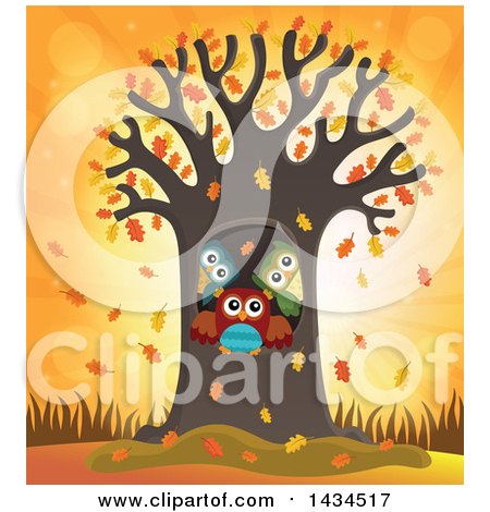 Clipart of a Family of Owls in a Tree Hollow Against an Autumn Sunset - Royalty Free Vector Illustration by visekart