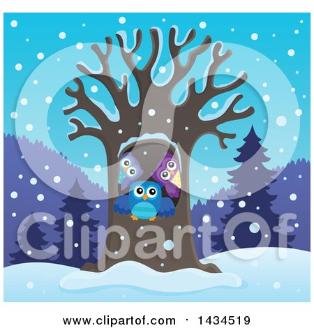 Clipart of a Family of Owls in a Tree Hollow in the Winter - Royalty Free Vector Illustration by visekart
