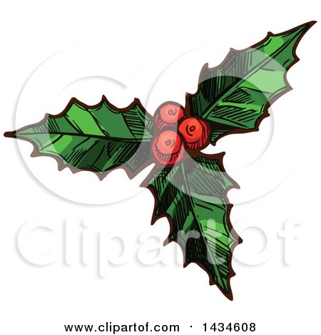Clipart of a Sketched Holly Sprig - Royalty Free Vector Illustration by Vector Tradition SM